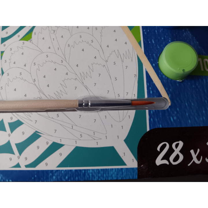 Paint-by-Number Set - Tropische Vogel (28 x 38 cm) - Inclusief 10 Kleuren & Penseel