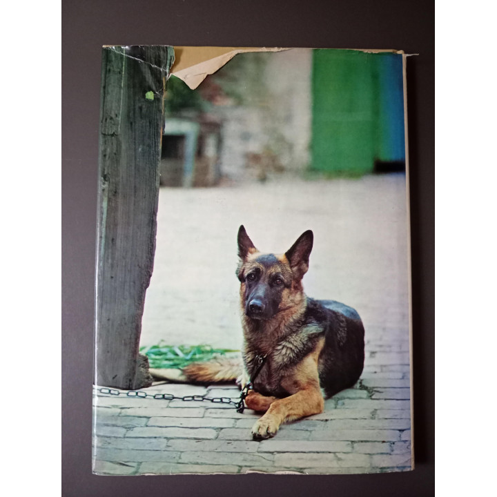 Honden met 135 foto's in kleur Wendy Boorer