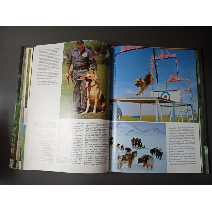 Honden met 135 foto's in kleur Wendy Boorer