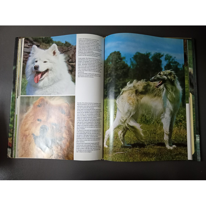 Honden met 135 foto's in kleur Wendy Boorer