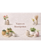 Vazen en bloempotten